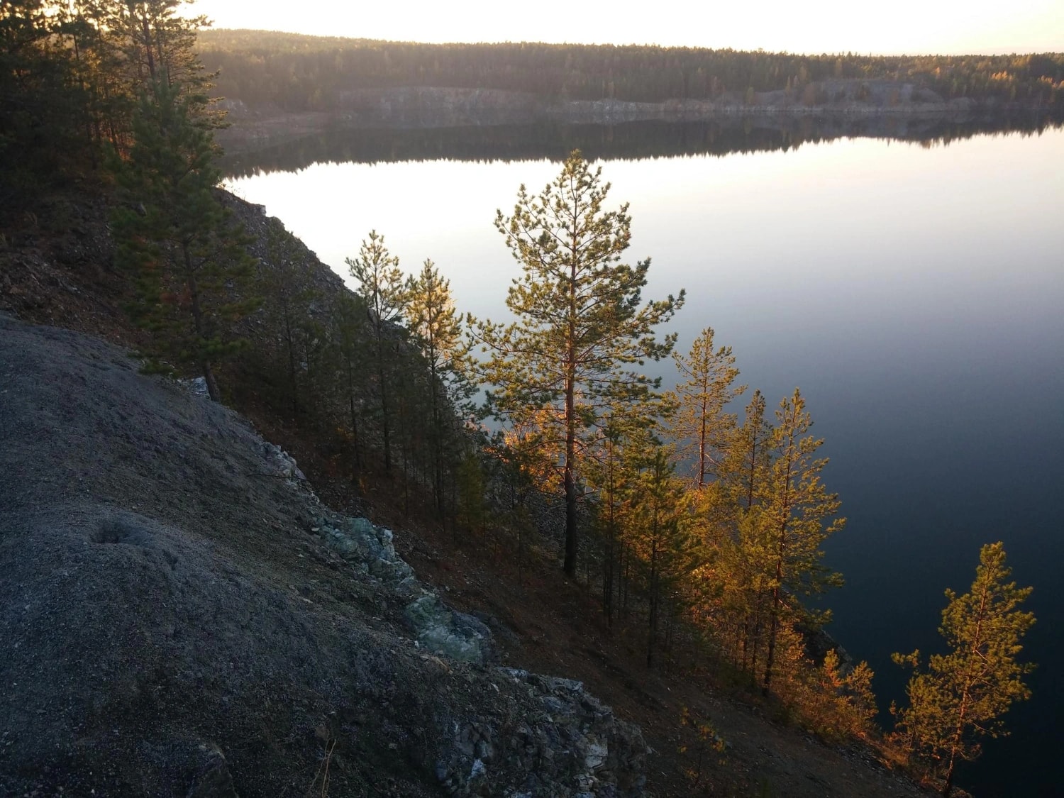Tallar vid en sjö i kvällsljus